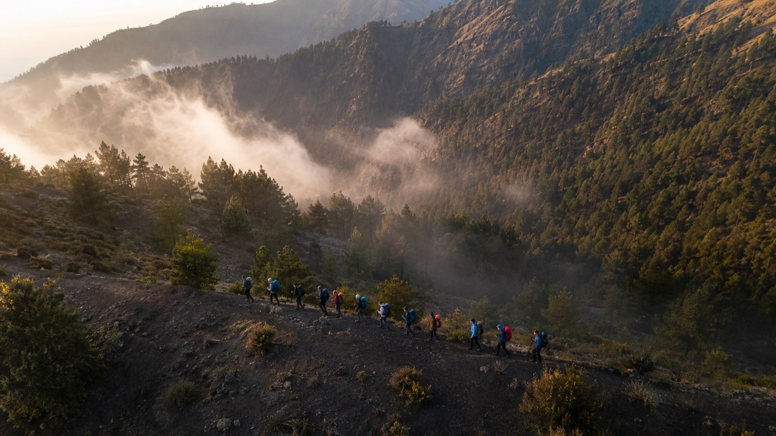Caminantes avanzan por una ladera entre bosque, niebla y luz de la mañana.