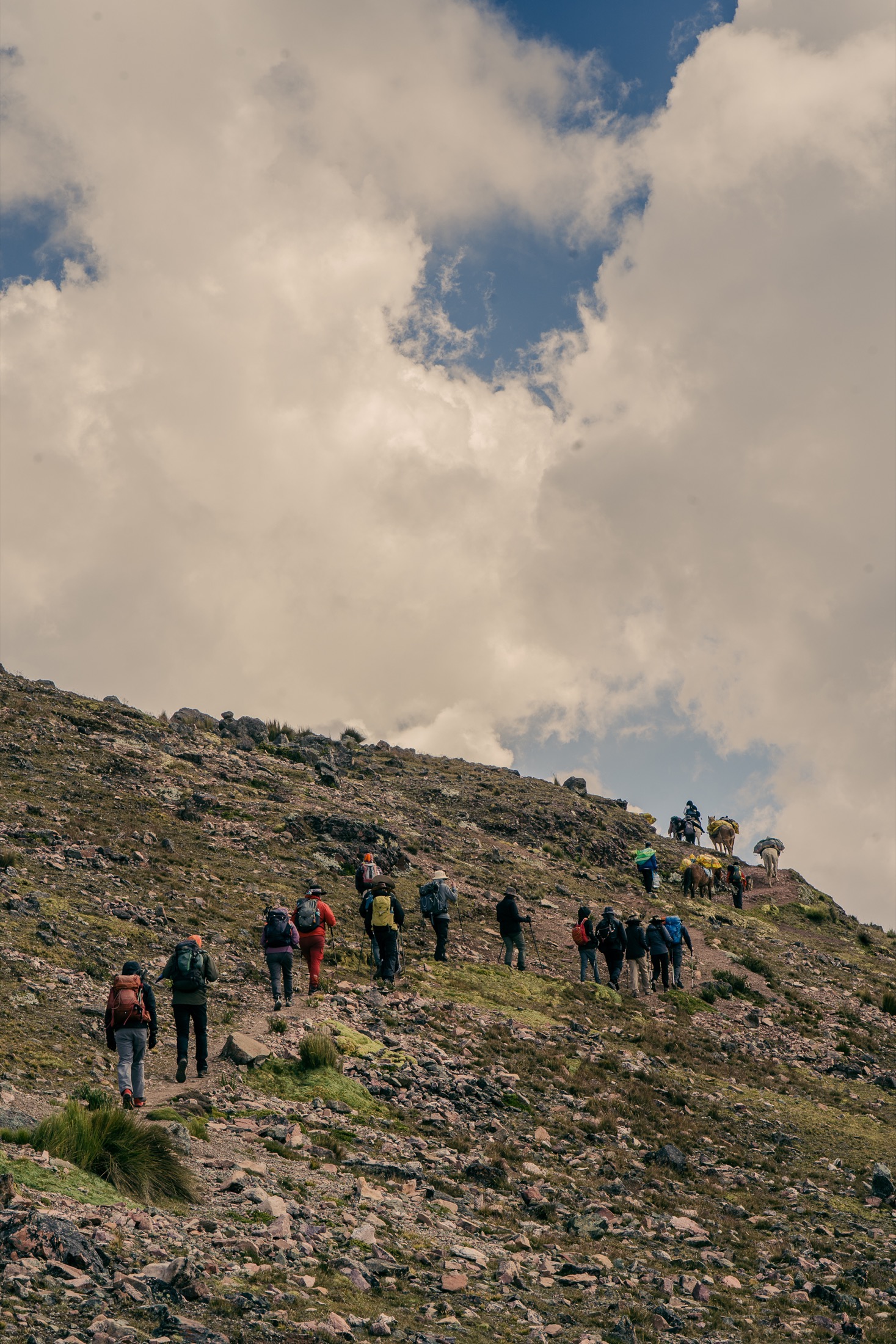 El grupo asciende por una ladera acompañado por caballos bajo un cielo amplio.